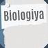 Biologiya Tənəfüs Orqanları