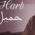 Roro Harb Official Lyric Video رورو حرب جميل العين