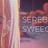 SEREBRO Я Тебя Не Отдам SWEEQTY Hardstyle Edit