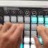 ZEDD Shave It 501 Remix Launchpad Cover D