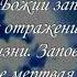 Плоть желает противного духу Стивен Уоллас 23 40