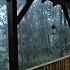 Heavy Rain And Thunder In The Farmhouse Rain Storm Deep In The FOREST Sleep Study Relax