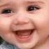 Baby Laughing Hysterically Baby Funny Video Status