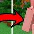 MINECRAFT TAPI MOMON HACK BUAT MOD PIGSTER SENDIRI Ft BANGJBLOX MINECRAFT