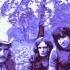 Ten Years After Live At Winterland San Francisco 1972