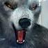 Werewolf Sound Growl Youtubeshorts Shorts Short Wolf Werewolf Soundcloud Viral