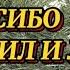 Стихи со смыслом СПАСИБО ТЕМ КТО ВЕРИЛ И ЛЮБИЛ Автор О Усова Бойко Читает Nataliya Prokoshina