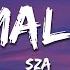 SZA Normal Girl Lyrics