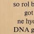 BTS DNA Easy Lyrics