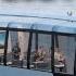 I Travelled On The WORLD S FIRST Year Round Electric River Tram