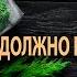 Лучшие продукты антиоксиданты ТОП 12 специи ягоды фрукты и овощи Мочи свободные радикалы