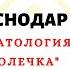 СТОМАТОЛОГИЯ ОЛЯ ОЛЕЧКА КРАСНОДАР