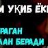 Жума ТОНГИНГИЗНИ АЛЛОХНИНГ КАЛОМ БИЛАН АЛЛОХ ТАОЛО СИЗ СУРАГАН НАРСАНГИЗНИ ОРТИҒИ БИЛАНБЕРАДИ