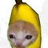 Banana Cat Crying But Famous Phone Ringtones