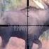 20 BEST SLOW MO HUNTING KILL SHOTS Stuck N The Rut Compilation