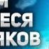 Люди чудом спасшиеся от маньяков Истории повергающие в шок