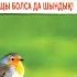 Әрбір жан иесі өлім дәмін татушы Қайын атам қайтыс болды Имам Нұрлыбек Шакизадаұлы