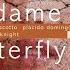 Madama Butterfly Act I E Soffitto E Paretti