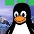 Top 5 Linux Distros For Beginners