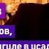 Е Понасенков бегите от браков о Тарковском зоология на выгуле в усадьбе восторг