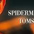 Tom S Peter Spiderman Nwh Scenepack Mega Link