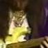 Yngwie Malmsteen Best Demonstration On Guitar