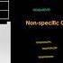 EMSA Electrophoretic Mobility Shift Assay Fig 5 36