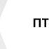 Птицефабрика Башкирская прекратила реализацию своей продукции на полгода