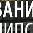 Последние времена Откровение Толкование Апокалипсиса 3 Пестов Николай