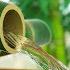 Sleep Sounds Bamboo Water Fountain Also For Studying Focus White Noise 10 Hours