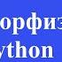 Полиморфизм в Python Что такое Утиная типизация Ducktyping