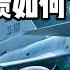 杨叔洞察 中国歼 10C战斗机出口巴基斯坦2年了 巴空军反馈如何