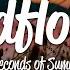 5 Seconds Of Summer Wildflower Lyrics