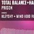 Total Balance Hanna Frigg Prison Kleysky Mind Void Remix Official Audio