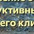 Нейроэнергетический подход к проблеме раннего климакса