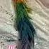 ITS SO CUTE Therian Therianthropy Theriangear Therianpride Alterhuman Furry Rainbowtail