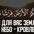 Сура 2 Аль Бакара Корова аяты 22 23 Чтец Ислам Ларсанов Шишани