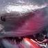 THE MEG 3 2025 1 NEW TRAILER Warner Bros Pictures Meg 3 Trailer