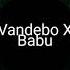 Vandebo X Babu Drujba Remix By BSK