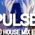 Afro House Mix 2024 Pulse Nature Vibe Dj Ash Carl Live Set