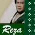 Rhoma Irama Riza Umami Suratan