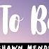 Shawn Mendes Like To Be You Lyrics Ft Julia Michaels