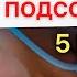 Так ты получишь все чего хочешь намного быстрее Программируй мозг правильно