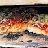 OnlyFire Pizza Oven Kit Weber Kettle How To Make The Best Pizza On Your Weber Kettle