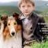 Adrian Johnston Lassie End Credits