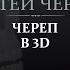 Виды соединений костей черепа Анатомия черепа в 3D