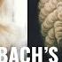 Bach S Chaconne Where Do I Start With Steve Goss