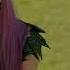 Descendants 2 If Only