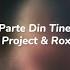 DJ Project Roxen Parte Din Tine Lyrics Versuri