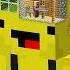 Why Are THESE TINY VILLAGERS LIVING INSIDE MY HEADS In Minecraft LEMON CRAFT HOUSE